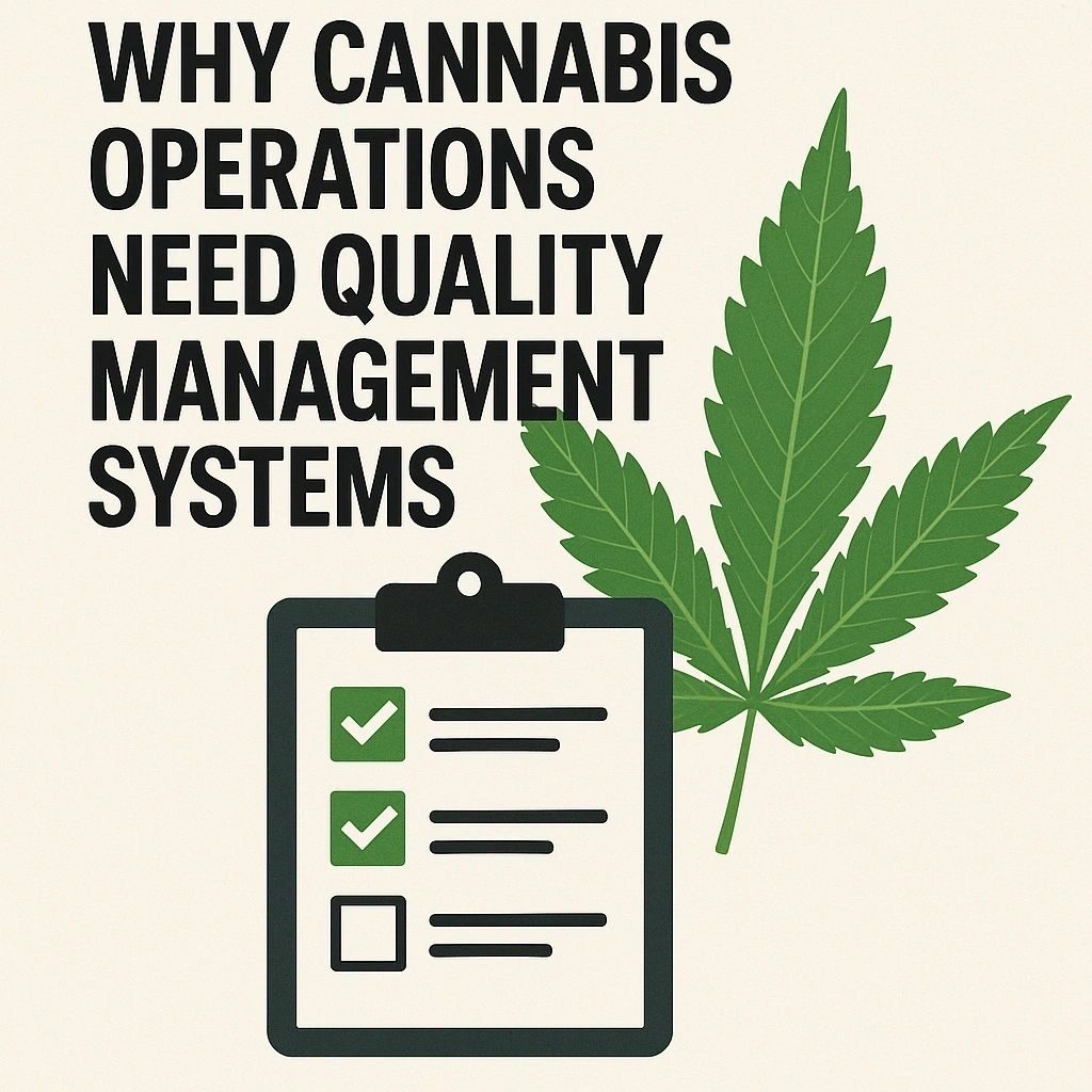 Why Cannabis Operations Need Quality Management Systems